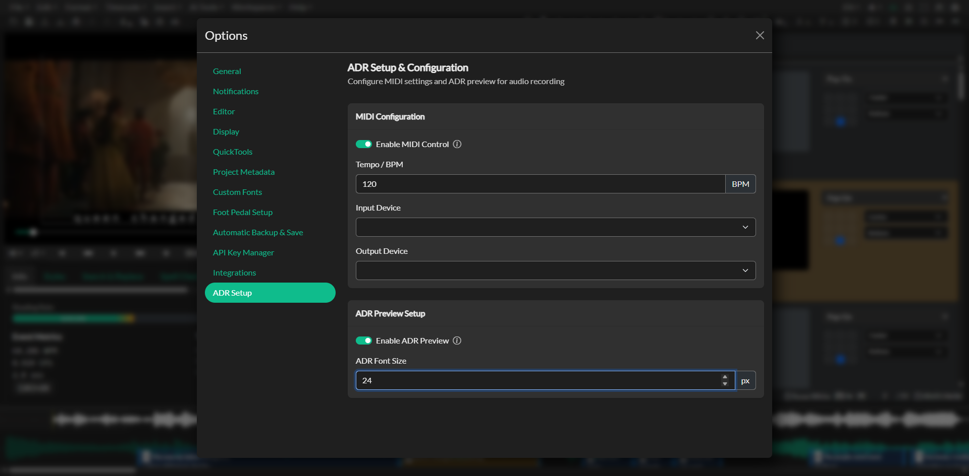 Audio Description project setup workflow