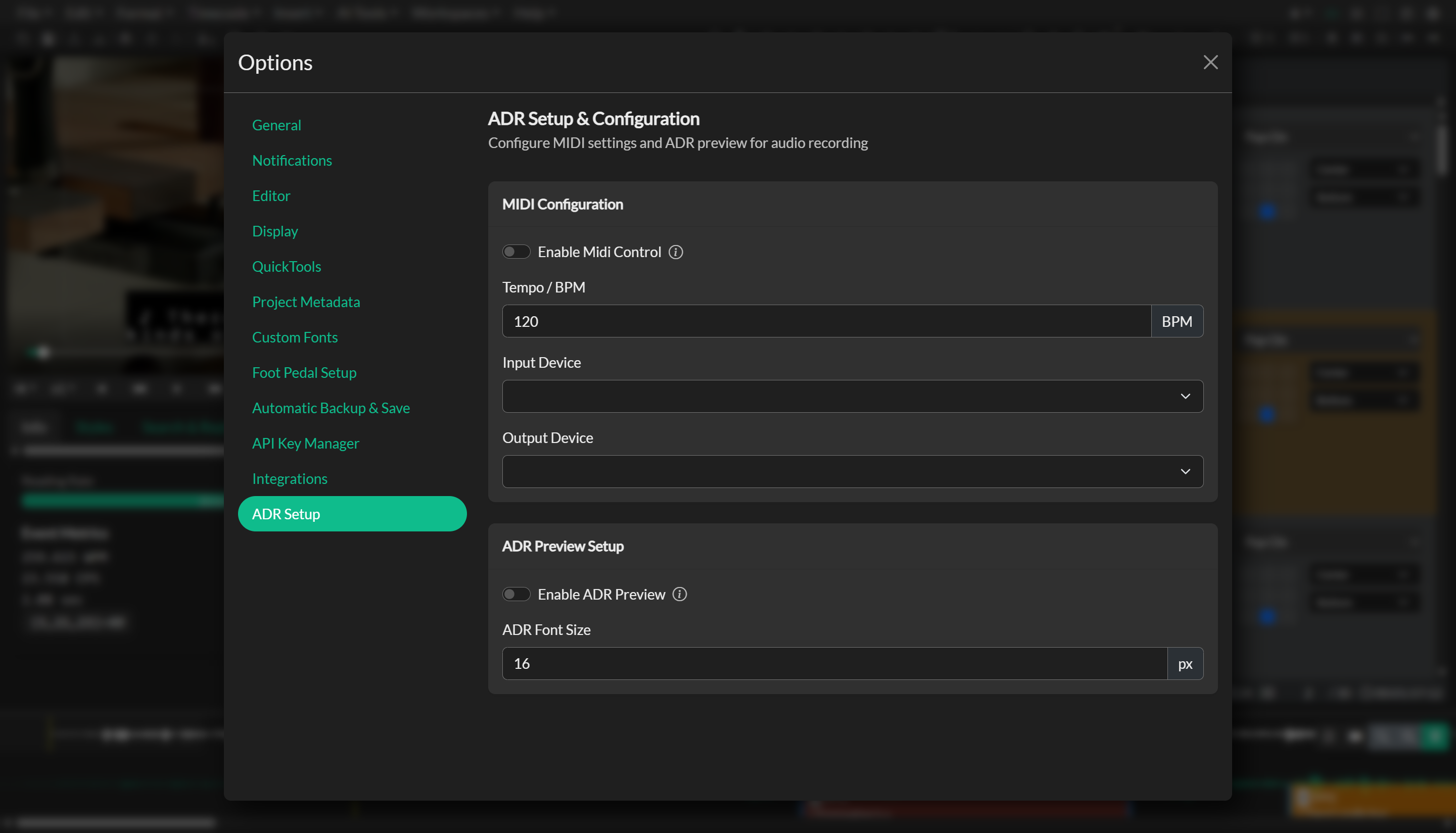 Audio Description project setup workflow