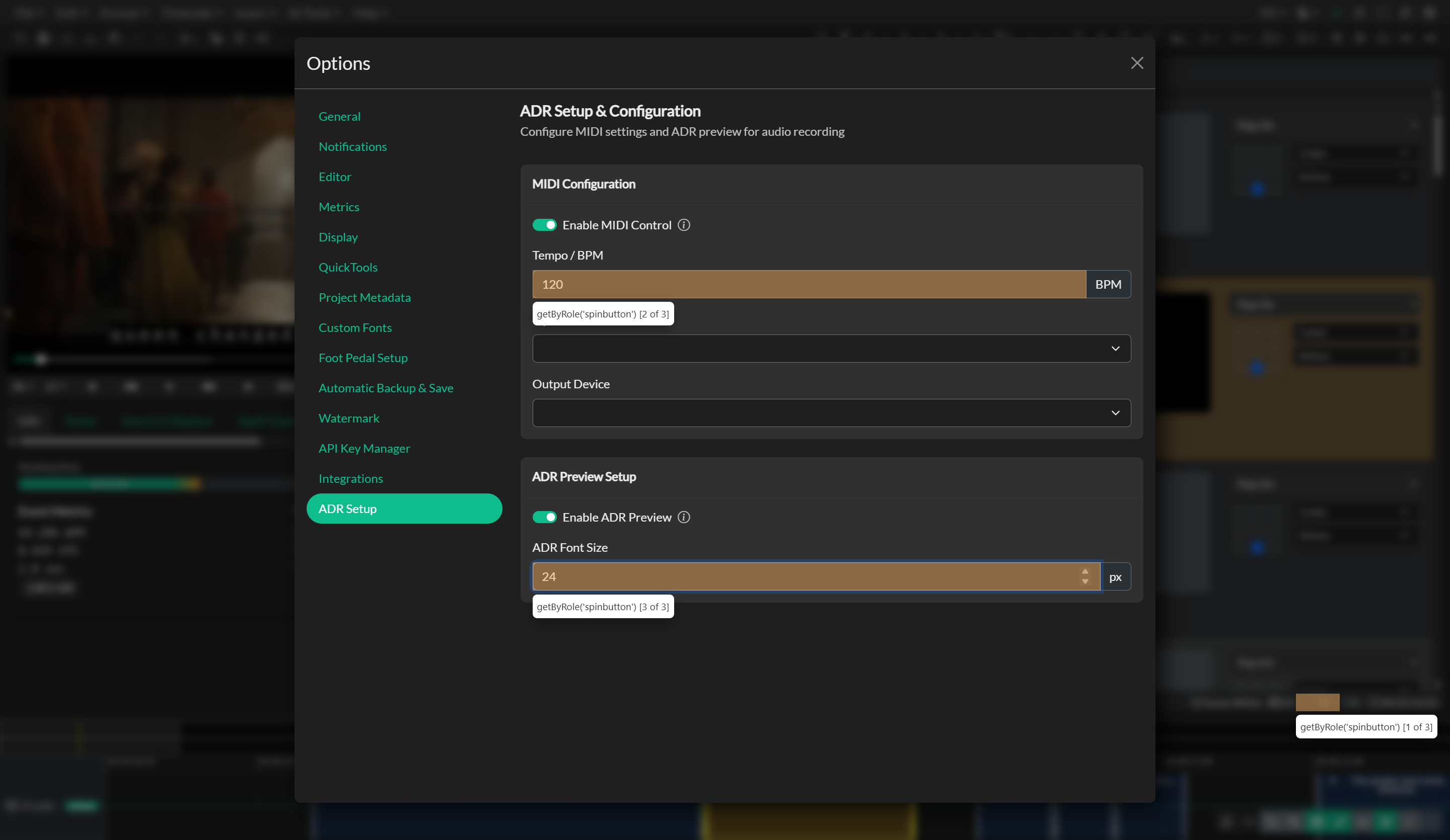 Audio Description project setup workflow