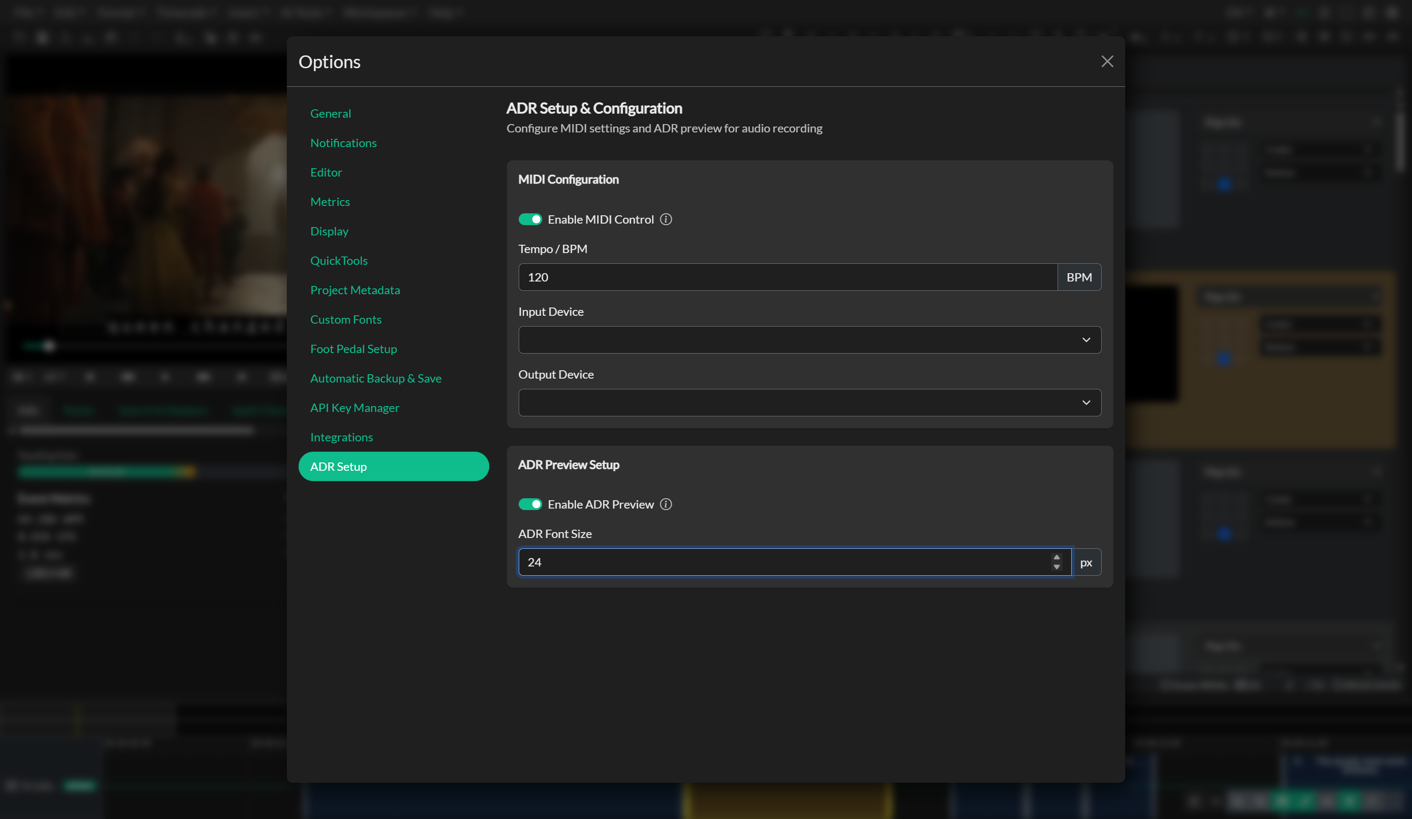 Audio Description project setup workflow
