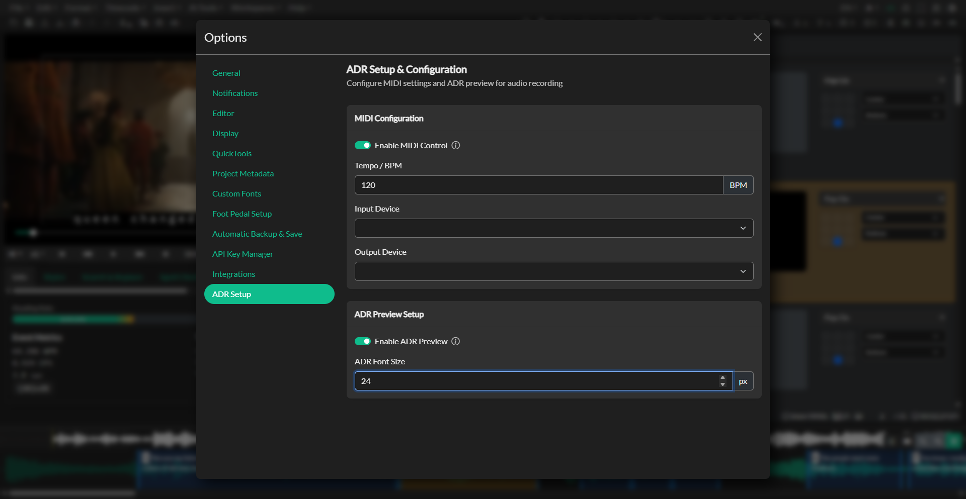 Audio Description project setup workflow