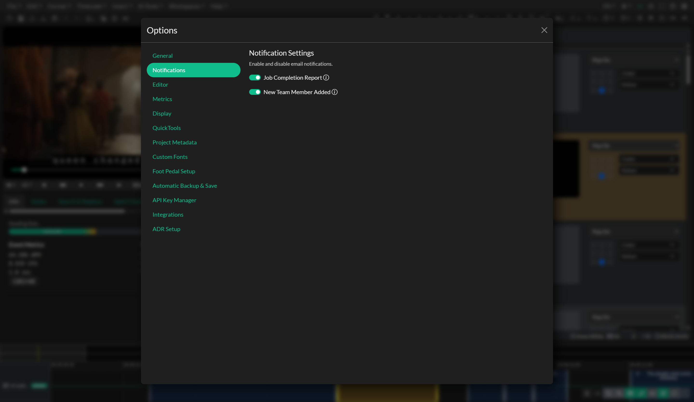 Notification settings in Options