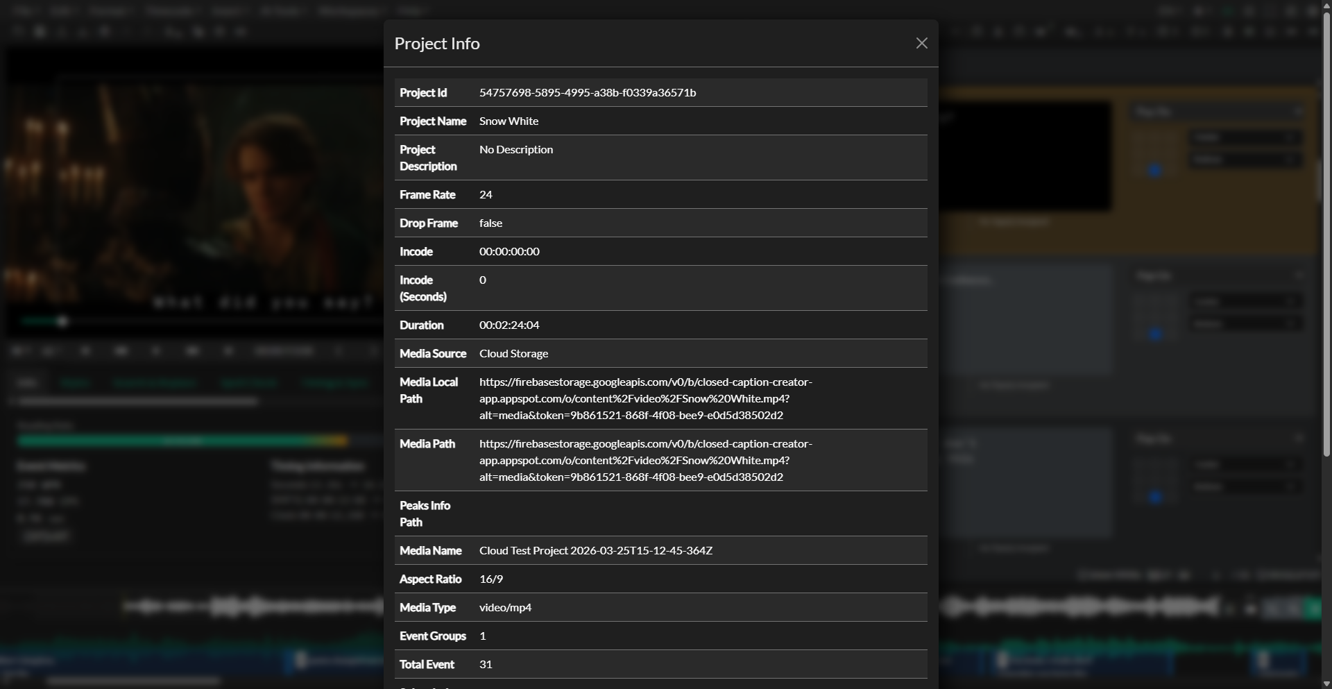 Project information panel in Storage Explorer