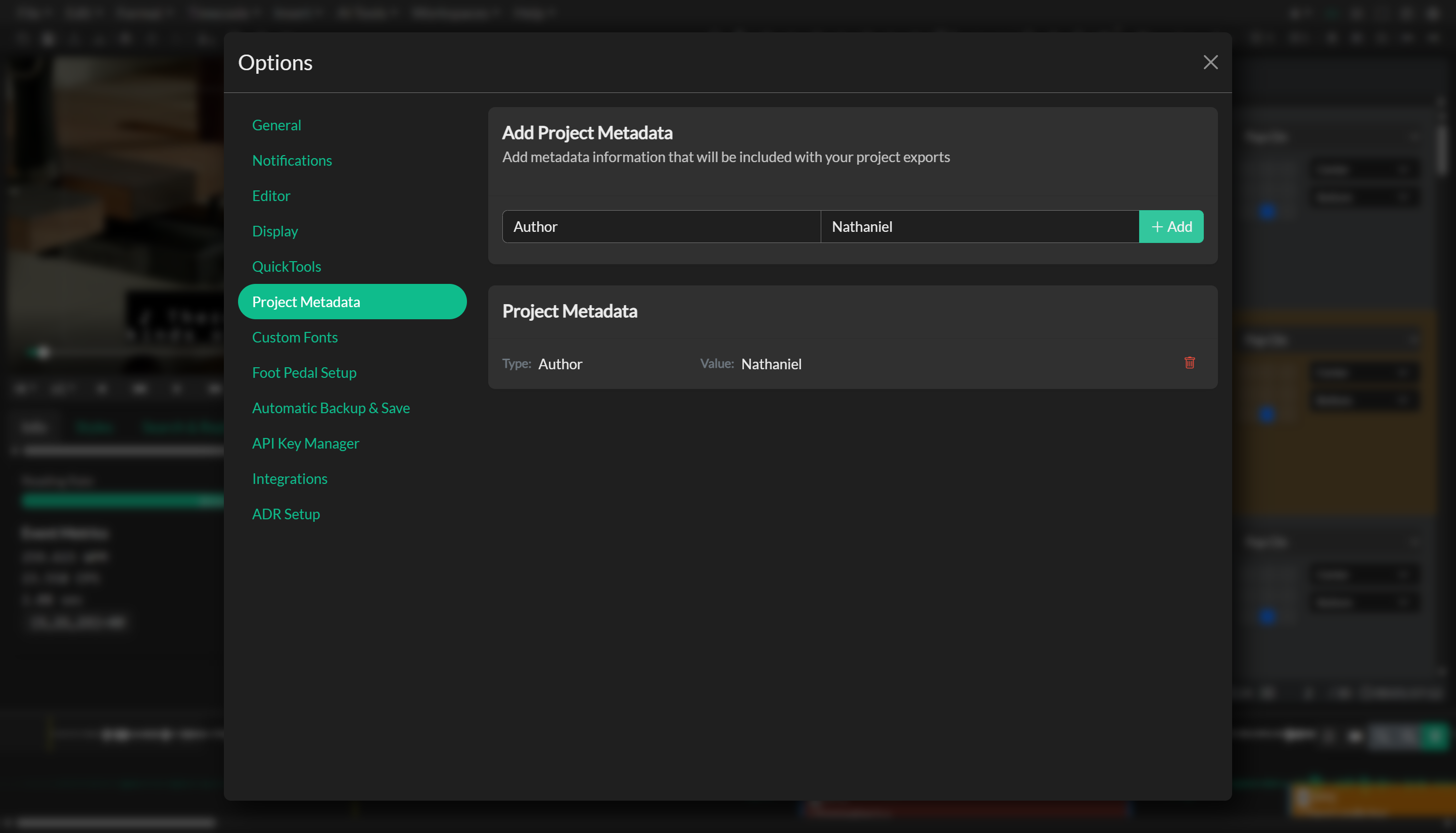 Project metadata details in the information panel