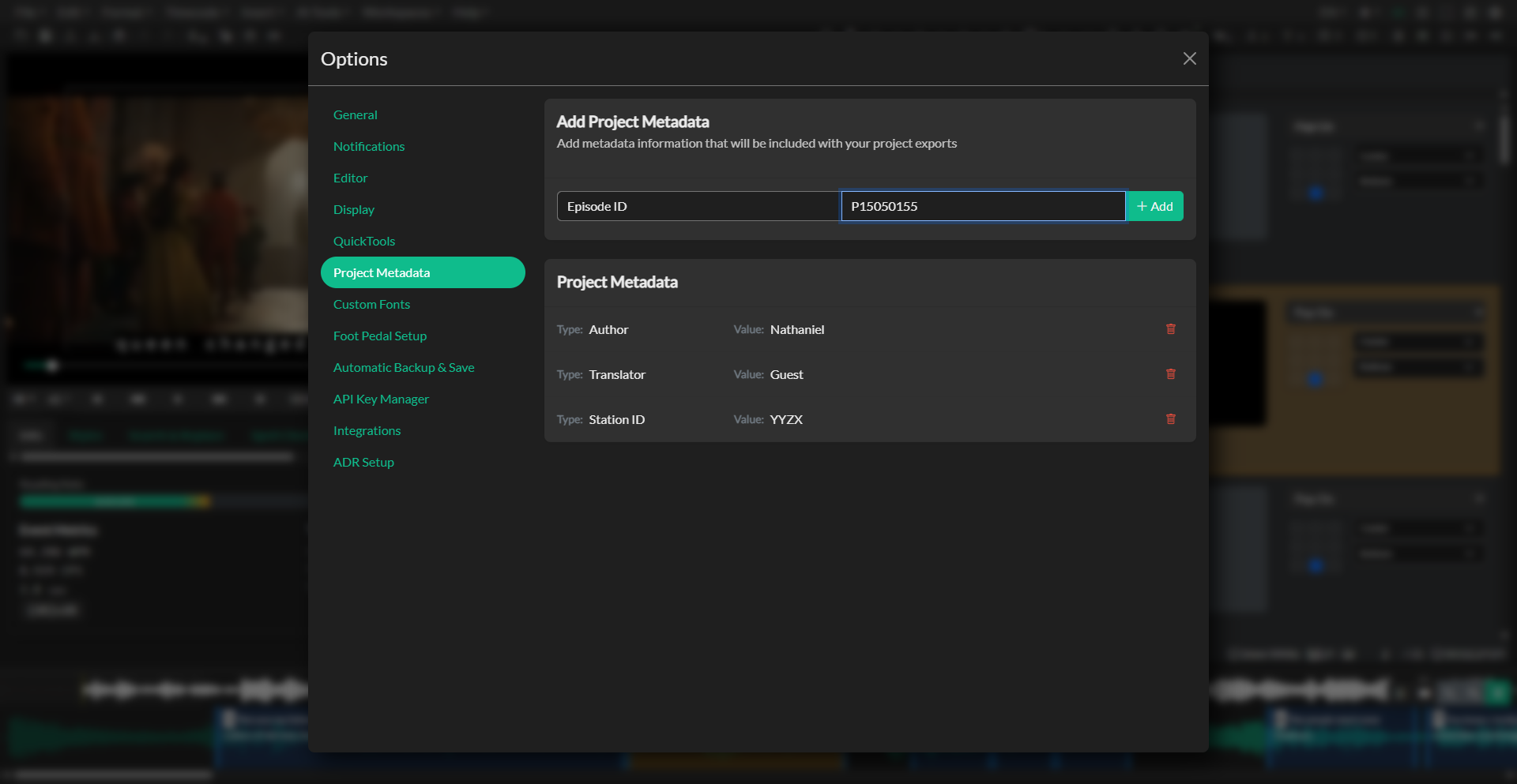 Project metadata details in the information panel